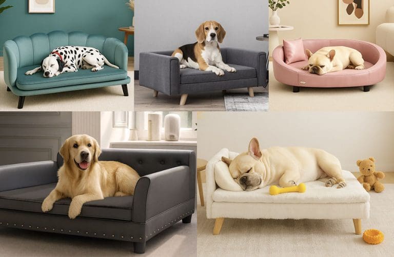 Elevating the Room: Dog Beds Designed to Flow With Your Interior