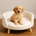 dogbed