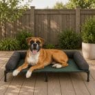 elevated-outdoor-dog-bed