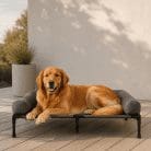 elevated-outdoor-dog-beds
