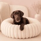 round-pet-bed