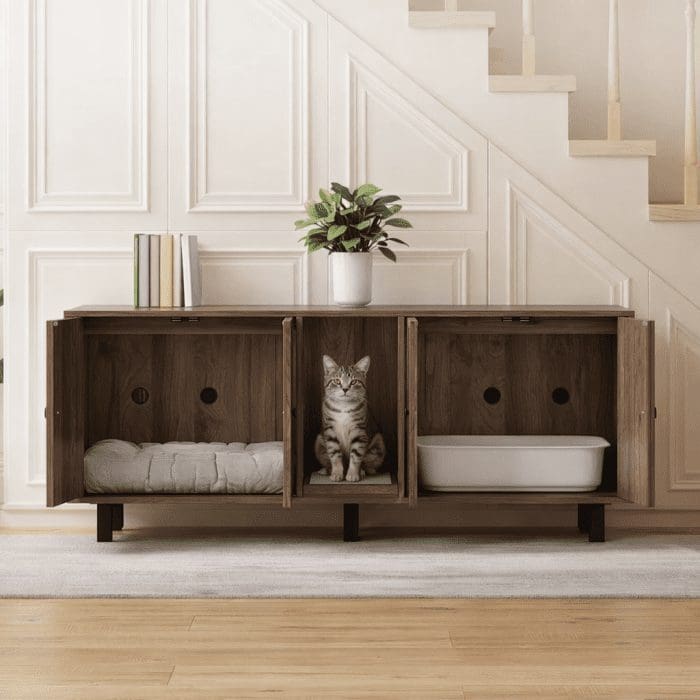 cat-house
