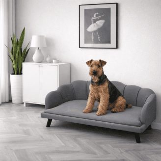 Luxury Pearl Shell Lounger - Velvet Elevated Dog Sofa Bed (Charcoal Gray)