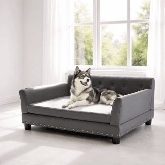 Durable Elevated Dog Bed (Medium & Large Dogs) L & XL