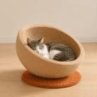 cat-nest