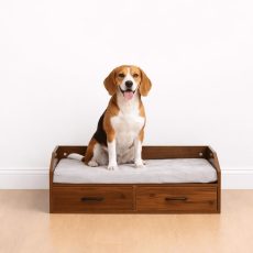 elevated-dog-bed